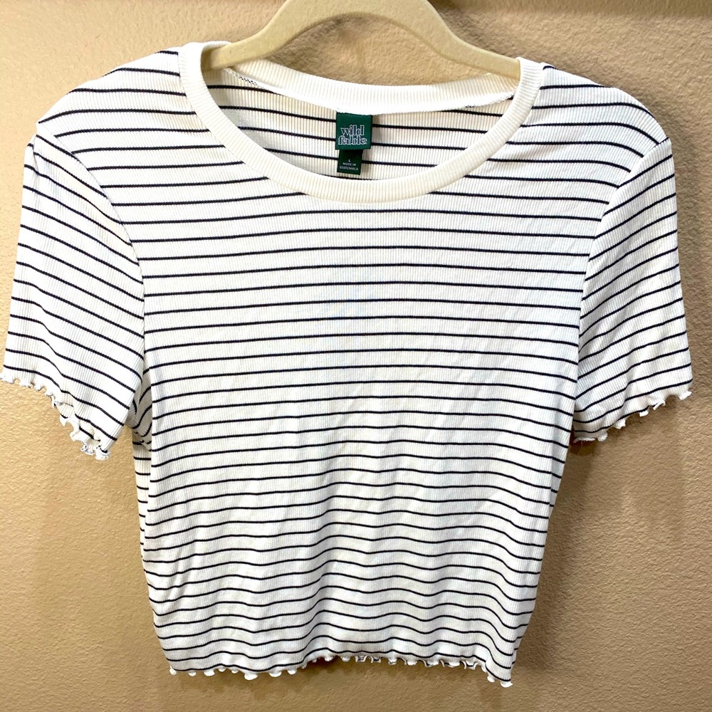 NWT Wild Fable striped crop top, size L.